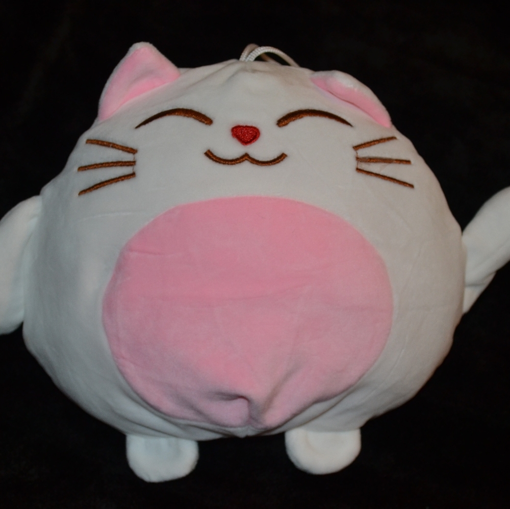 NWOT Kawaii Pink Cat Plush